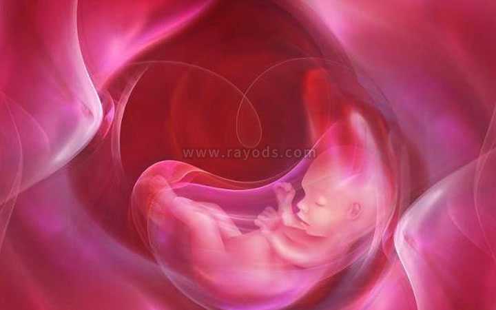 昆明正规试管代孕公司,平谷试管婴儿移植后几天可以验孕?验孕成功怎么保胎